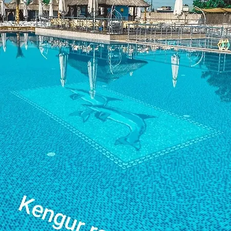 Gana Altina , Free Parking 베오그라드